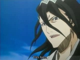 Ichigo Vs Kuchiki, un long combat!