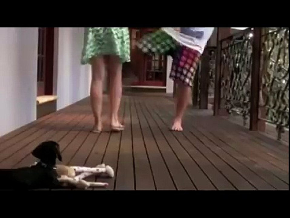 Un chien protège sa maîtresse contre une agression