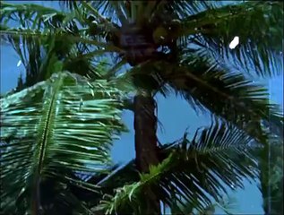 Aaj Purani Raahon Se - Classic Sad Song  - Video Dailymotion Music Masti