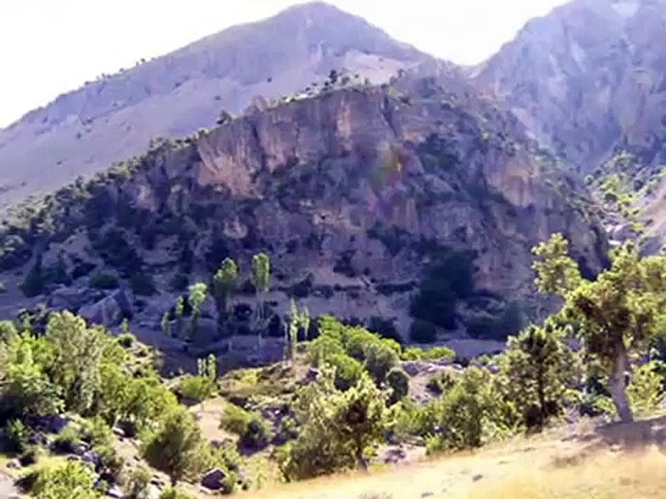 PKK nin ilk KADIN ŞEHIDI BESEY ANUŞ