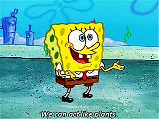 Spongebob Squarepants - Timber - Spongebob Squarepants 2015 episodes - Cartoon for Children