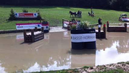 Concours d'attelage