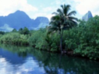 ニコ生クルーズOP