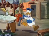 Donald | Donald Duck | Donald Cartoon | Donald' Dog laundry