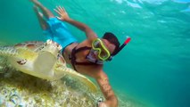 GoPro: Swimming with Sea Turtles in Akumal, Mexico [Zimy Da Kid]