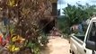 Homes and Land Sale Utuado Puerto Rico Casas en Venta