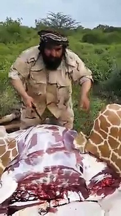 يقطع ويأكل زرافة