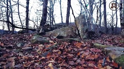 По ту сторону дольменов