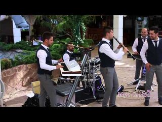 Veseljak   Gjoko Jovik & Energy band - VO ZIVO - Moja svadba cover