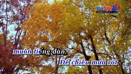 (Karaoke HD ) LK Bong Co May .Tuan Vu .Trinh Bay ThanhSon ( DE MO )fuil 1080p