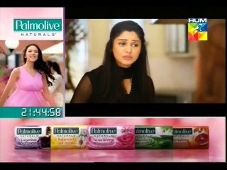 Tumhari Natasha Episode 6 on Hum Tv P2