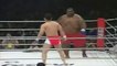 sumo wrestler Vs MMA Fighter
