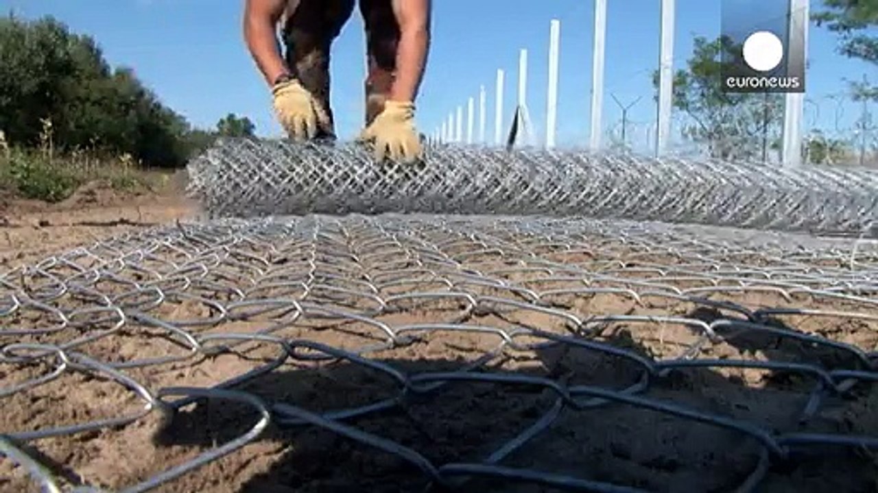 Reportage: Euronews in Ungheria, al muro "antimigranti"