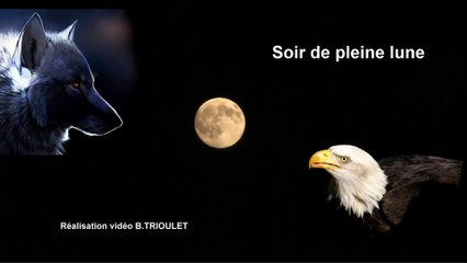 SOIR DE PLEINE LUNE