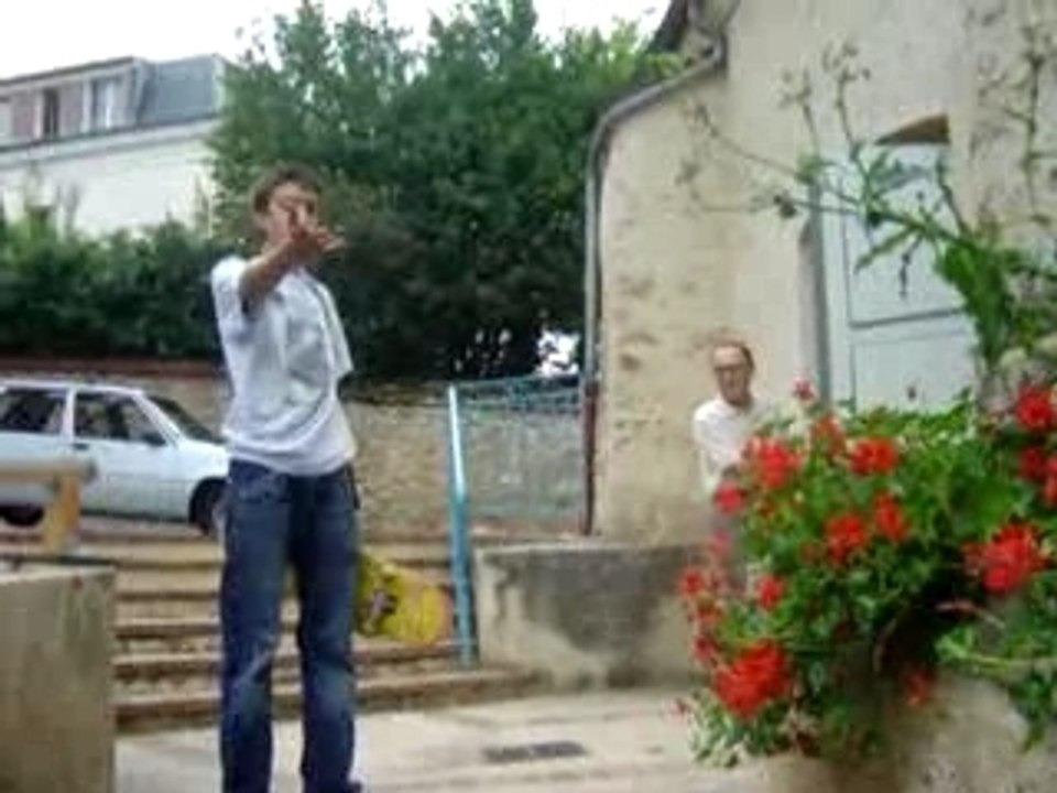 N'aller pas casser les fleurs mdr