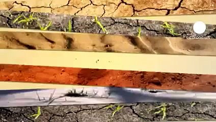 Güneş enerjisi ile çalışan araştırma gemisi Planetsolar