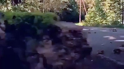 hayvanlar bile iyiligi karsılıksız bırakmıyor