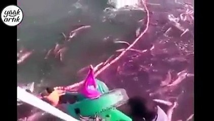 hindistanda balık avlama işi