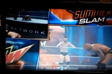 Sheamus vs Randy Ortan Summerslam 2015