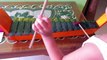 Belajar Music Kulintang Instrument anak anak  Xylophone Traditional Music Instrument @LifiaTubeHD