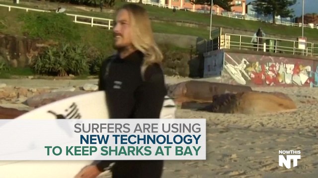 Surfers Avoid Shark Attacks With Electronic Device