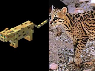 Minecraft Mobs In Real Life!