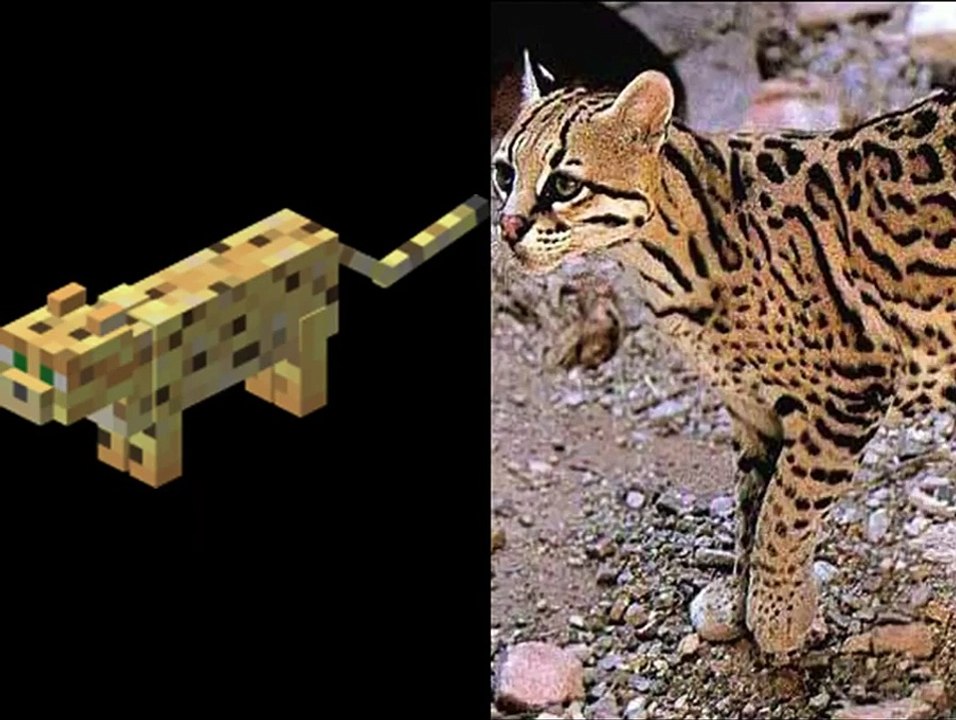 Minecraft Mobs In Real Life!