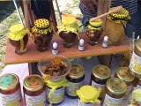 Otvorena druga Pčelarska izložba opreme i pčelinjih proizvoda u Slatini, 28. avgust 2015. (RTV Bor)