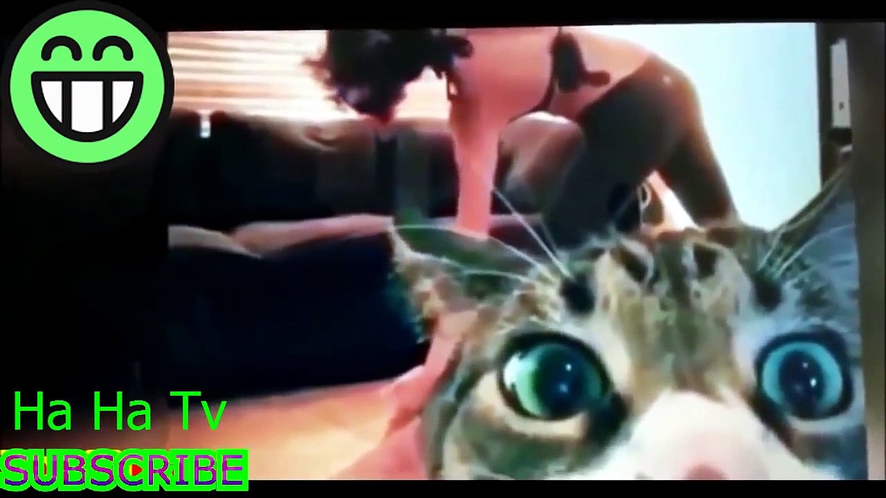 Funny Videos Funny Pranks Funny Clips Best Funny Girl Fails 2015[HaHa TV]