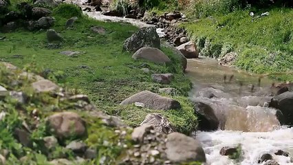 ¿Cuánta gente vio "Hija de la laguna" y "Avenida Larco"?