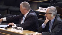 Argentina: Statement made at the 2nd Preparatory Committee of the Third UN World Conference on DRR