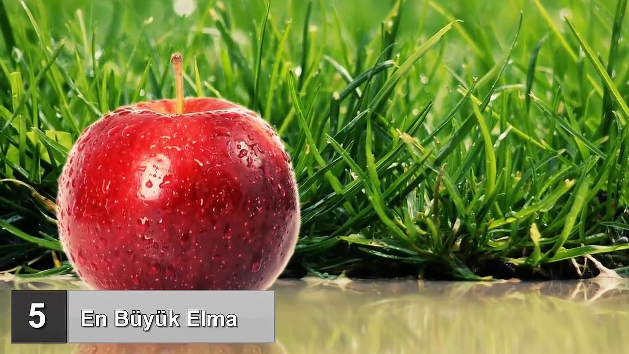 En Saçma 20 Dünya Rekoru