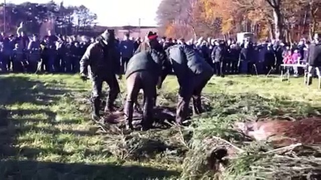 Hubertus Jagd Stralendorf 06.11.2010