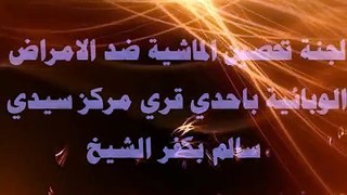 التحصين ضد الامراض الوبائية بمركز سيدي سالم بكفر الشيخ