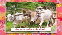 Animal Uses In Marathi | Learn Marathi For Kids | Marathi Grammar | Marathi For Beginners