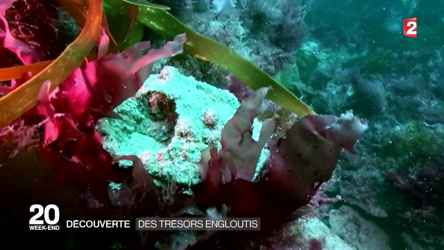 À la recherche de trésors dans les fonds marins