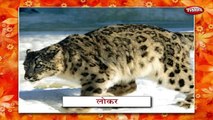 Animal Body Parts In Marathi | Learn Marathi For Kids | Marathi Grammar | Marathi For Beginners