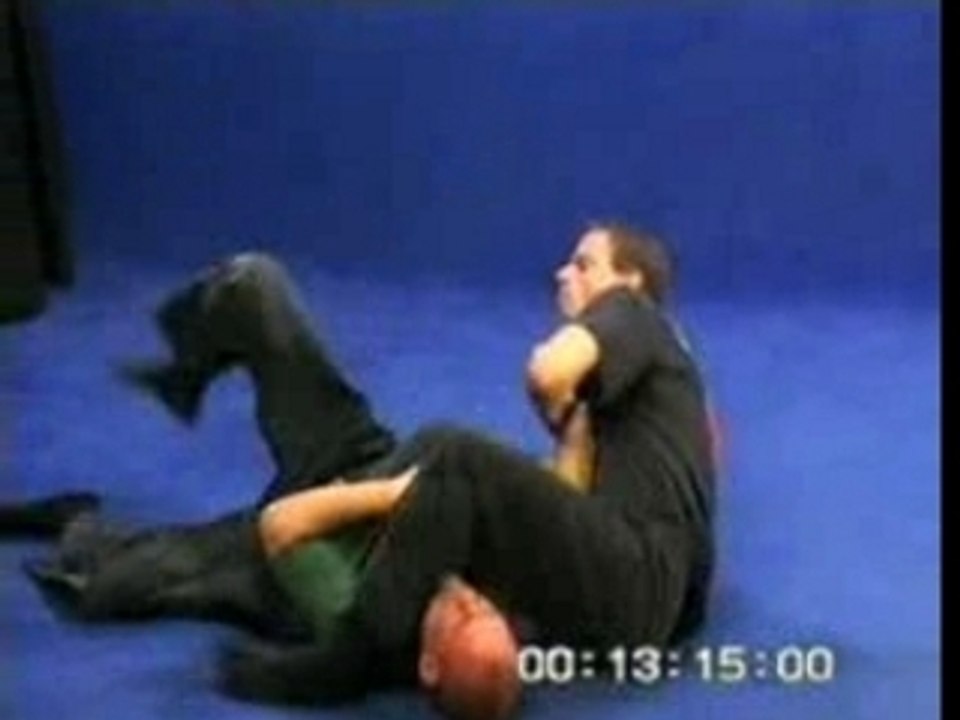 Bujinkan.budo.taijutsu.ninjutsu