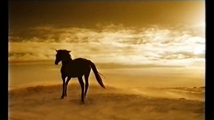 Shell V-Power Werbung Ferrari 2003