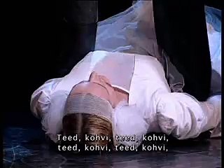 dance theatre perfomance "Swan lake" demo