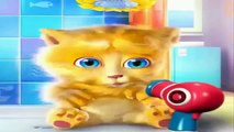 Funny cat ginger ! Cartoon for children cats are so cute playing