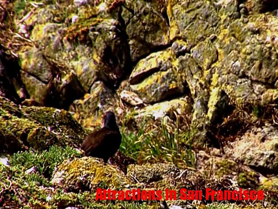 Attractions in San Francisco