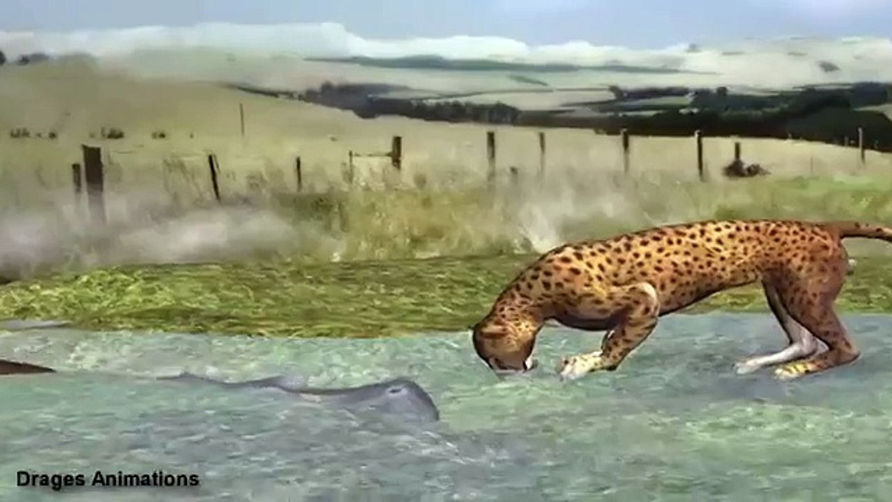 Dangerous Water   Hippo vs Cheetah Vore Animation REMAKE Quality render+Sound