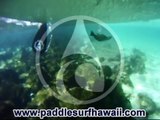 PSH 808 Tube Paddle Surf Hawaii SUP Fishing