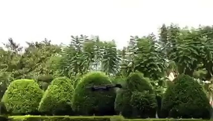 Ei-Hi S19R RC Hexcopter Drone with FPV Camera (Black)