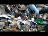 Turtle Trap - Plastic Pollution on Christmas Island