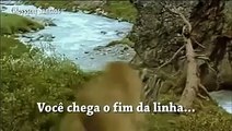 O Puma e o Ursinho - Deus Nunca se Esquece de Você - EMOCIONANTE!