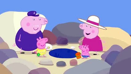 Peppa Pig   s02e10   Rock Pools clip4