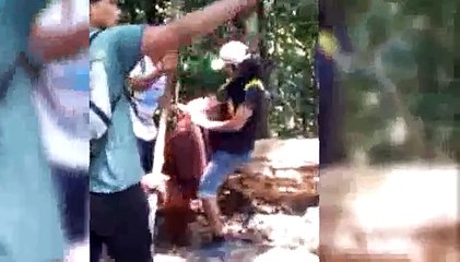 When Animals Attack Compilation Part 2 by FailArmy
