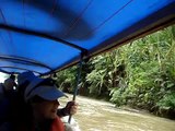 Exploring the Arajuno River in the Amazon jungle